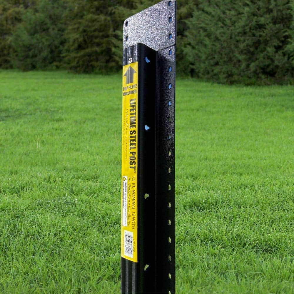 LIFETIME STEEL POST 4 In X 8 Ft Powder Coated Black Galvanized Steel With Top Plate For In Ground Line Applications Metal Fence Post LTP 80220 The Home Depot