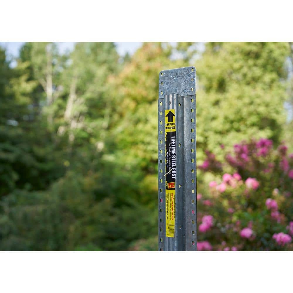 LIFETIME STEEL POST 4 In X 8 Ft Powder Coated Clear Galvanized Steel With Top Plate For In Ground Line Applications Metal Fence Post LTP 80120 The Home Depot