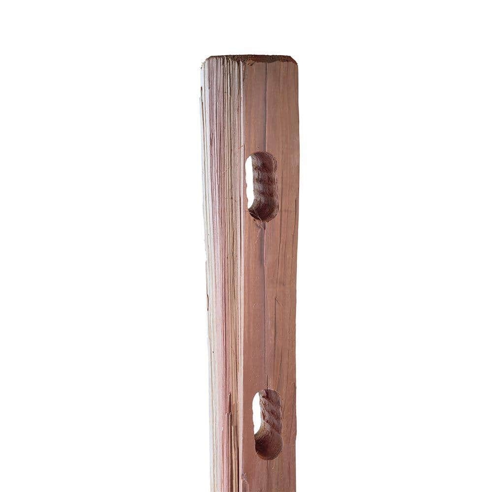 Outdoor Essentials 4 In X 4 In X 4 Ft 2 Hole Western Red Cedar Split Rail Fence Line Post 146249 The Home Depot
