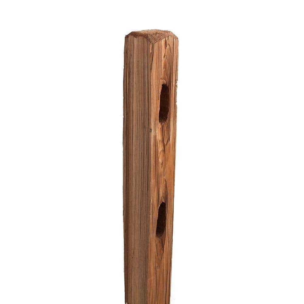 Outdoor Essentials 4 In X 5 In X 5 Ft 2 Hole Color Treated Western Red Cedar Fence Line Post 161667 The Home Depot