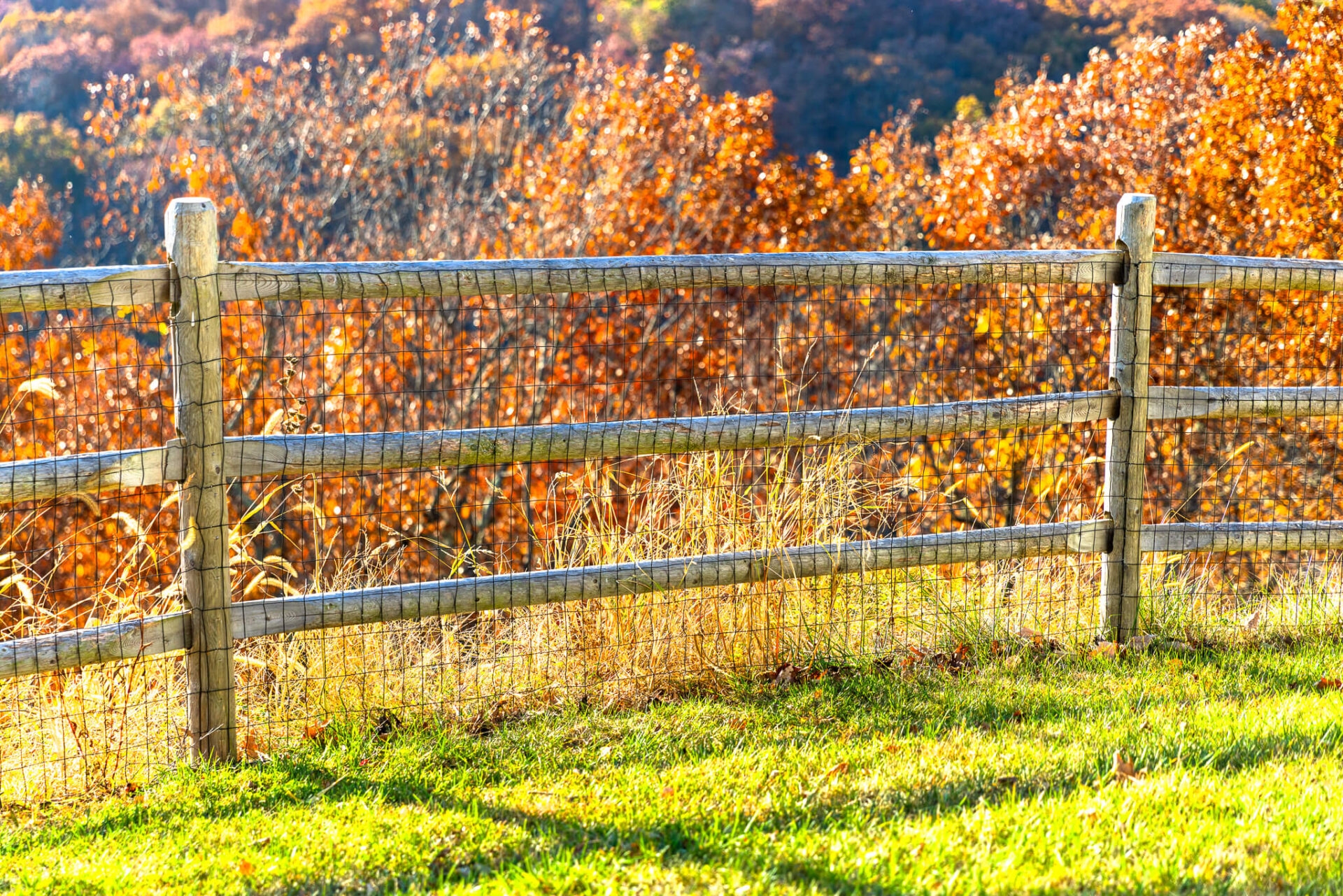 Post And Rail Fencing Garon Fence