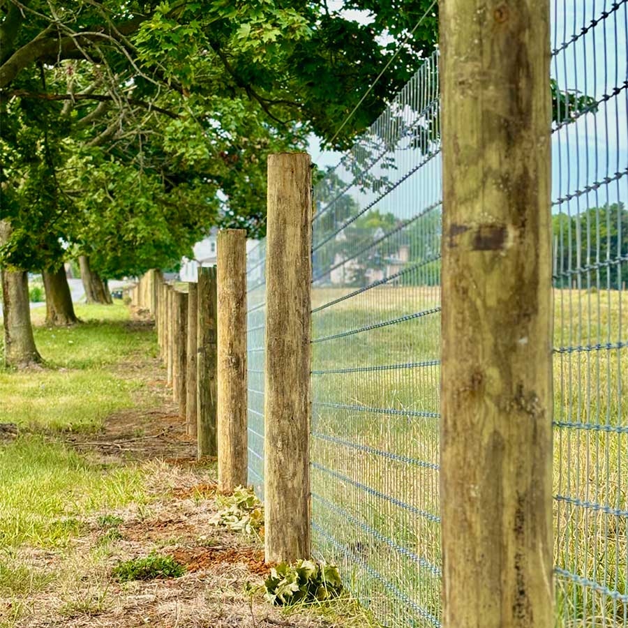 ProFence Expert Farm Livestock Fencing Solutions