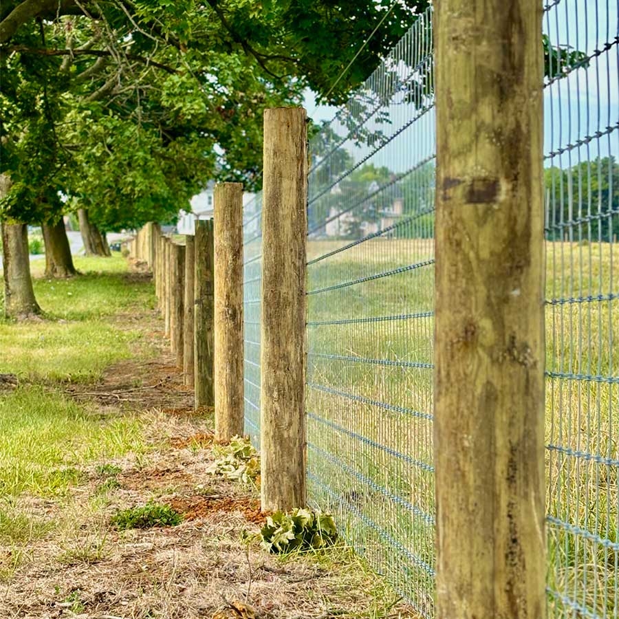 ProFence Expert Farm Livestock Fencing Solutions