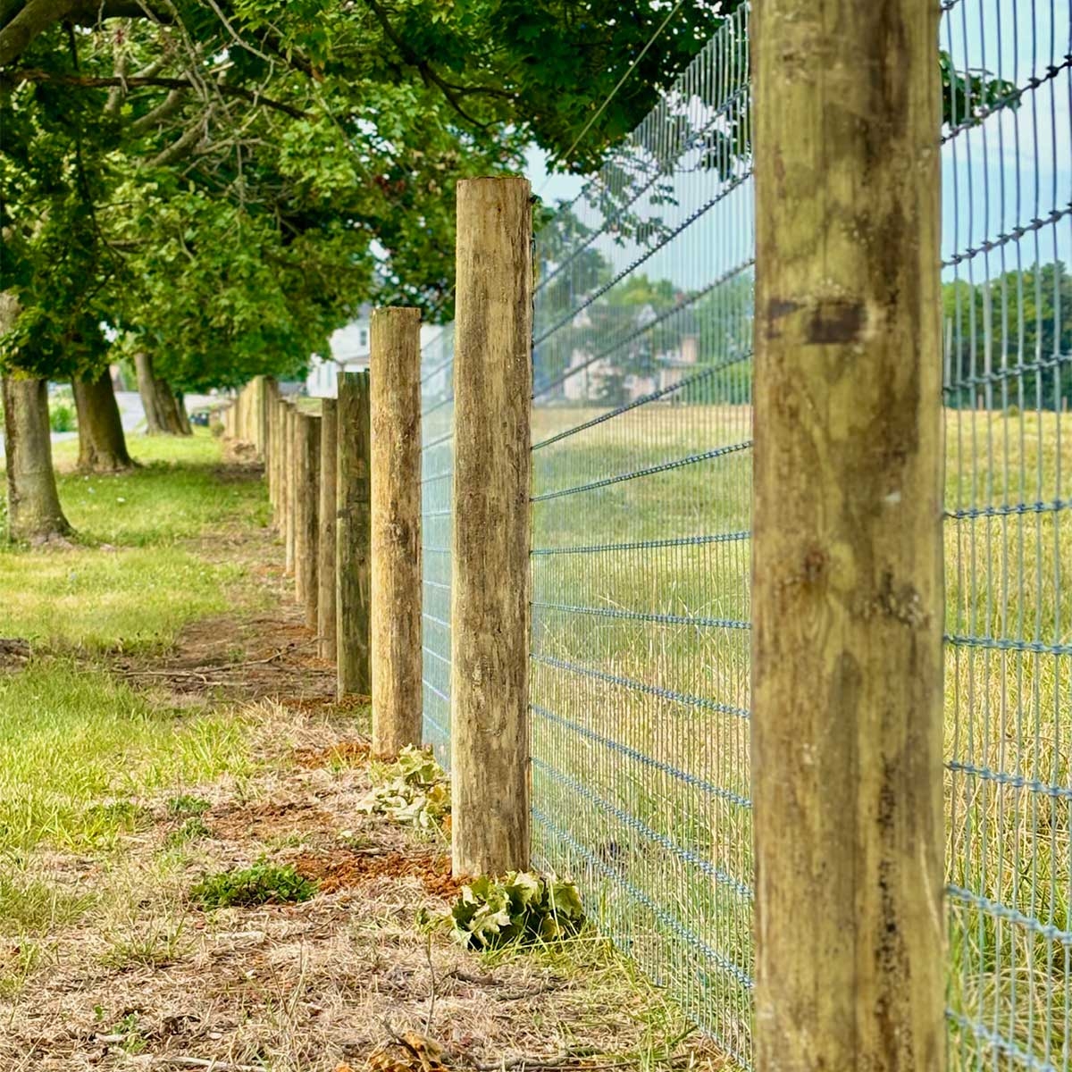 post and wire fence