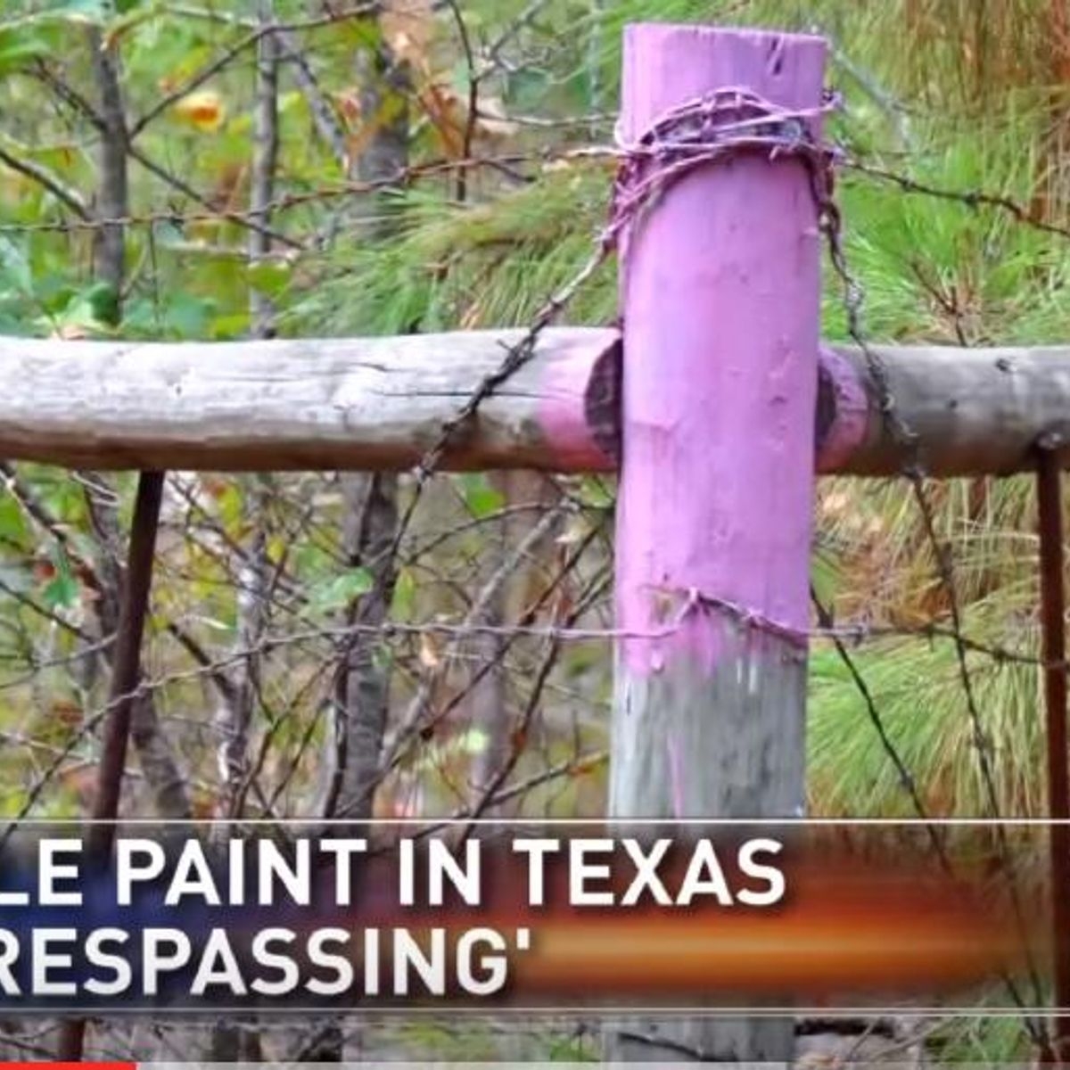 Purple Paint Trespass Warning Snopes