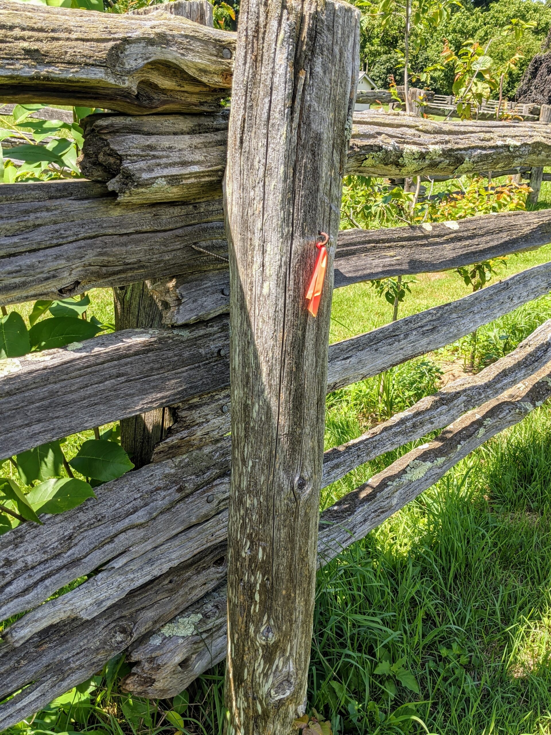 Replacing Fence Posts At The Farm The Martha Stewart Blog