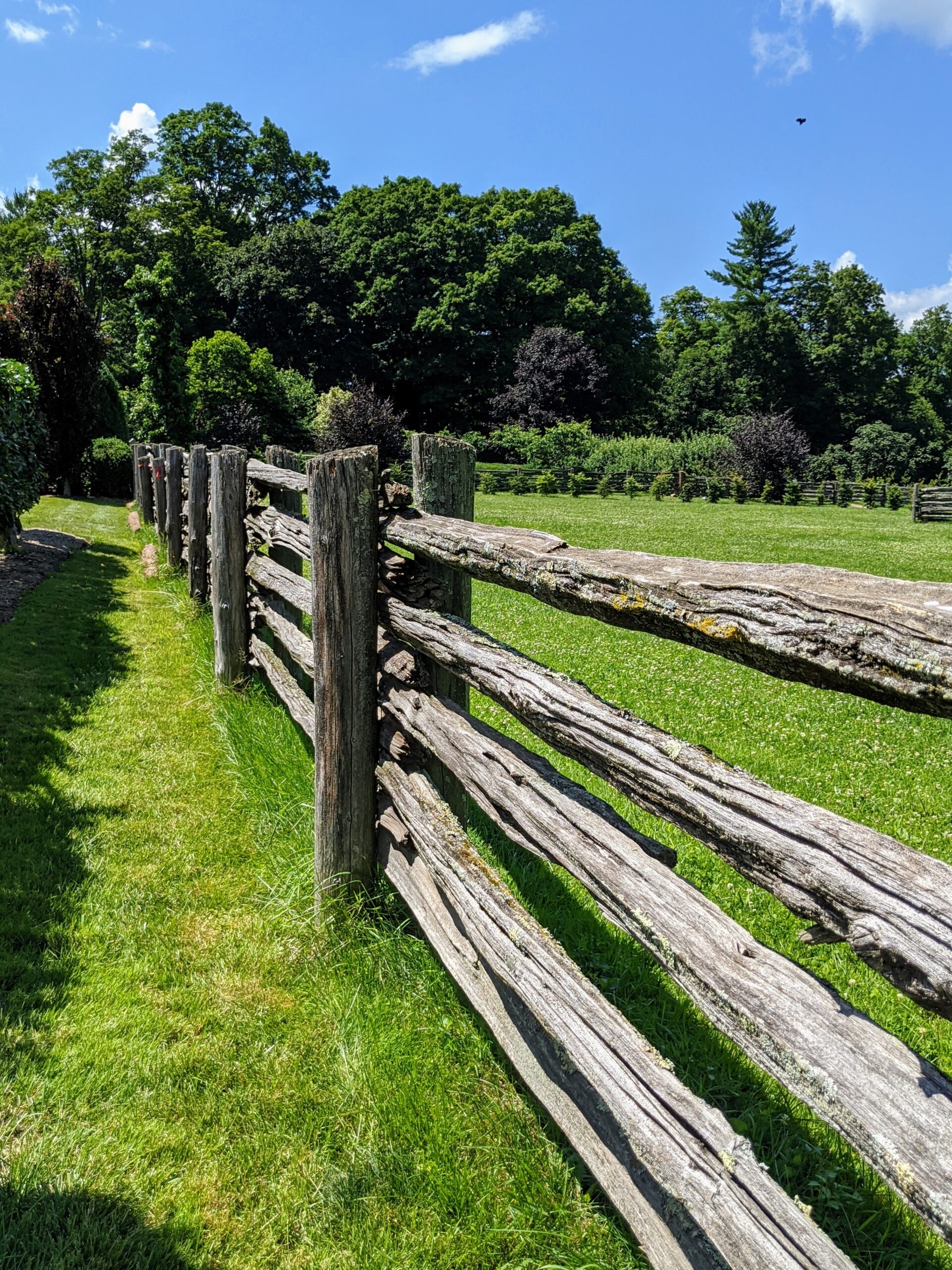 cedar post for fence