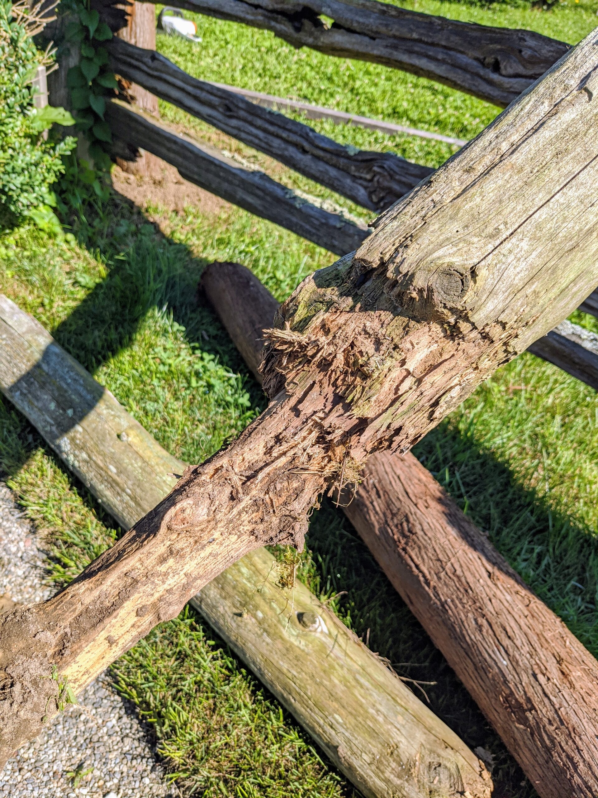 Replacing Fence Posts At The Farm The Martha Stewart Blog