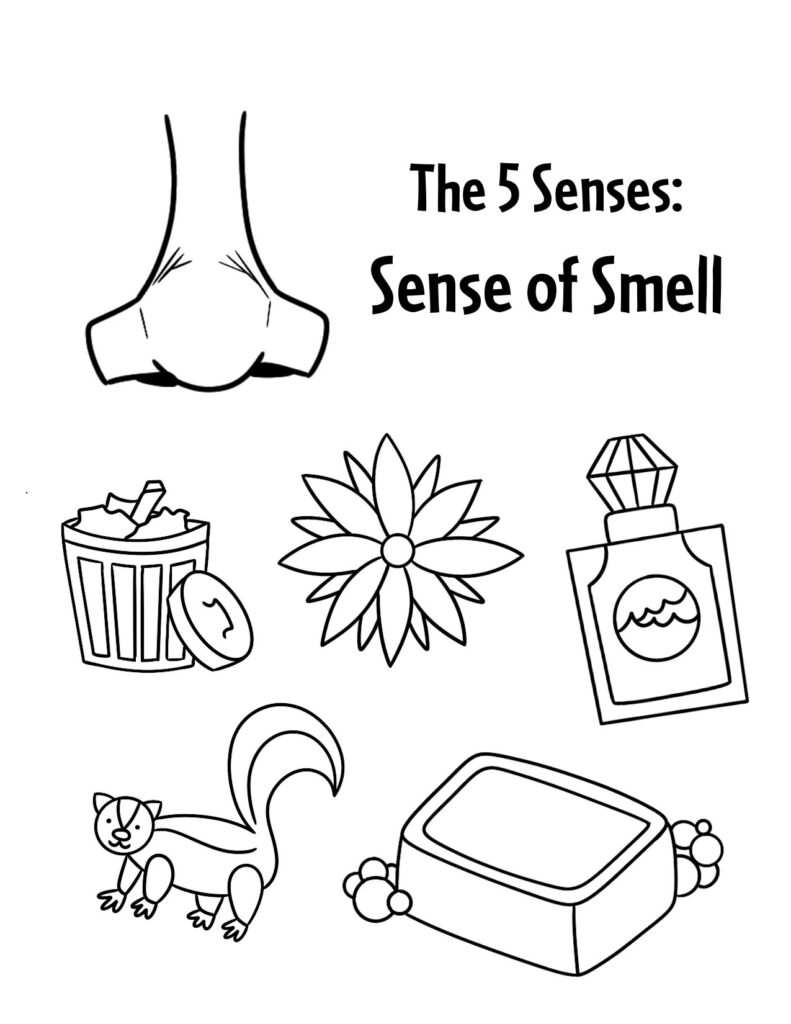 Sense Of Smell Worksheets For Preschool The Hollydog Blog
