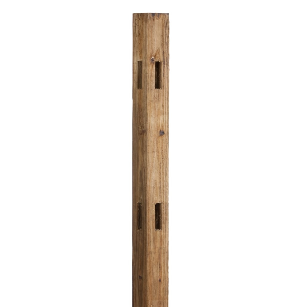 Severe Weather 4 in X 4 in X 5 1 3 ft Pressure Treated Pine Flat top Split Rail Corner Wood Fence Post In The Wood Fence Posts Department At Lowes