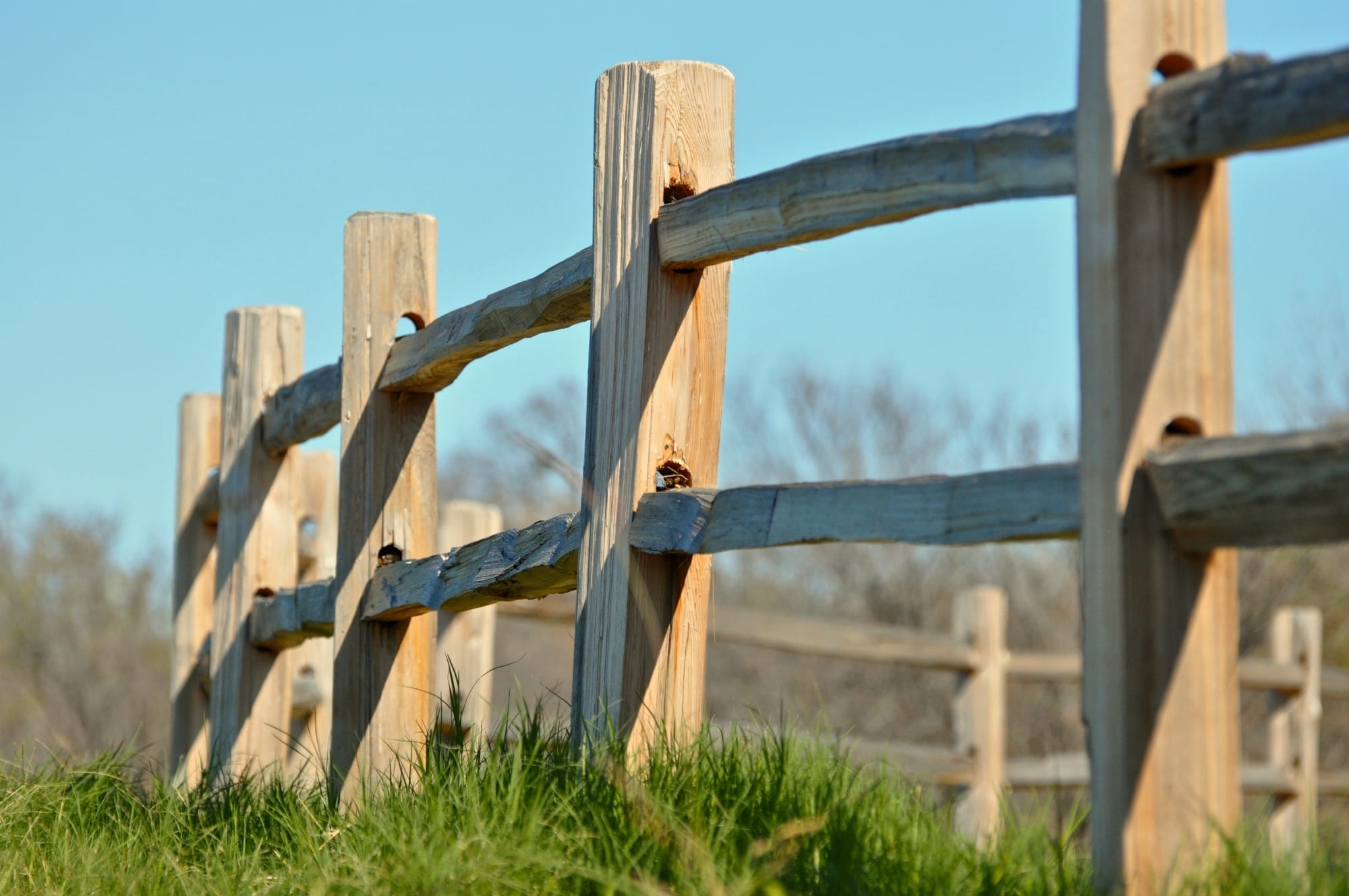 cedar split rail fence posts