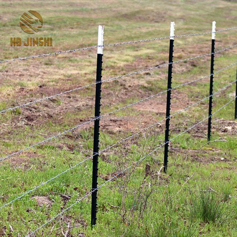 Steel T Post Studded T Post Durable Fencing Solutions