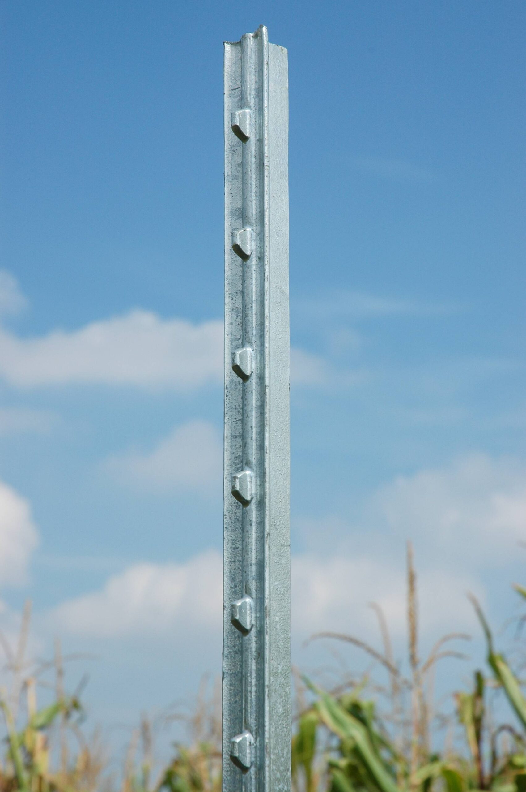 T Post Studded Hot Dipped Galvanized With Plate