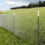 T Post W P 1 25 6 Ft 0 In GRN UPC 72 in Green Steel T post For Multiple Fence Types In The Fence Hardware Parts Tools Department At Lowes
