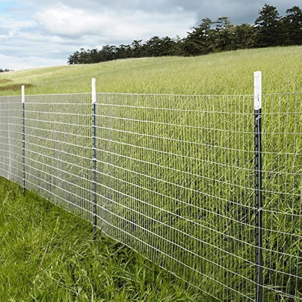 T Post W P 1 25 6 Ft 0 In GRN UPC 72 in Green Steel T post For Multiple Fence Types In The Fence Hardware Parts Tools Department At Lowes