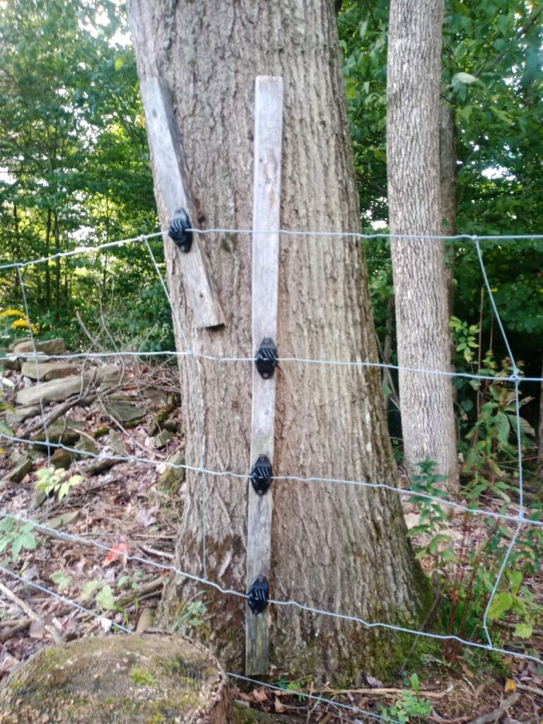 Taking Fencing To New Heights Trees For Graziers