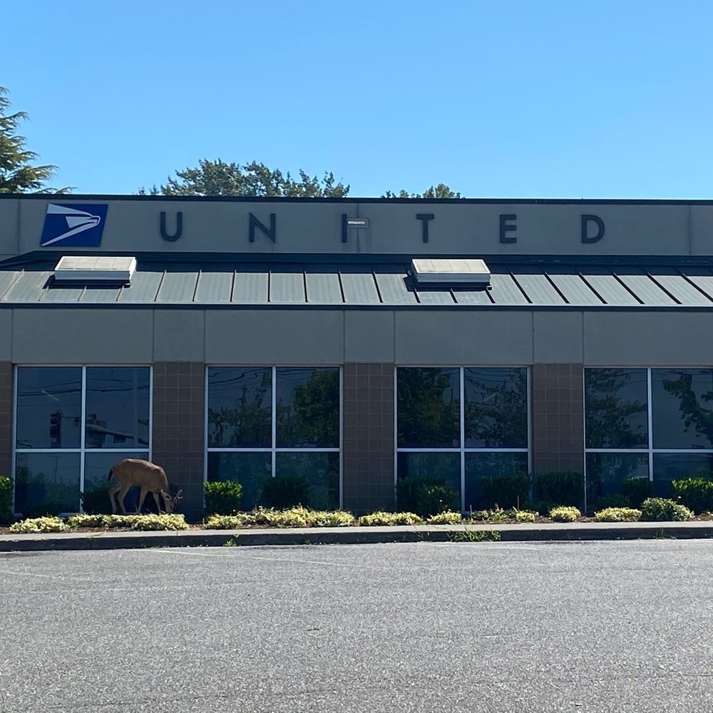 blaine wa post office hours