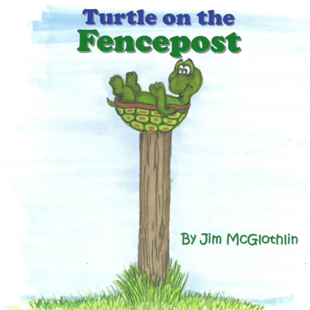 The Turtle On The Fencepost McGlothlin James D 9781479142156 Amazon Books