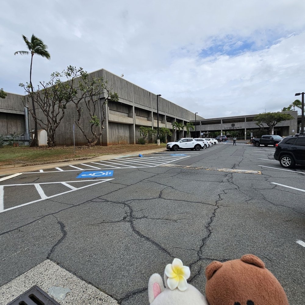 TOP 10 BEST Airport Post Office In Honolulu HI Updated 2025 Yelp