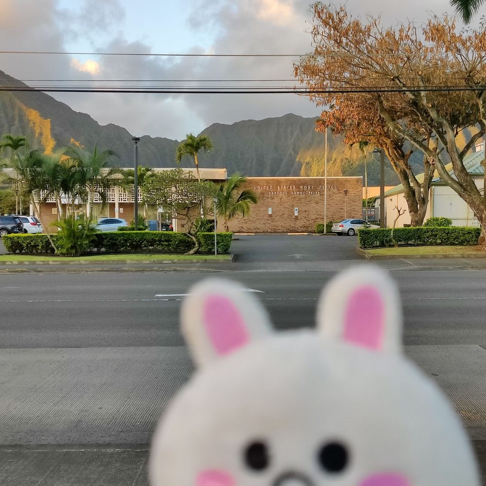 TOP 10 BEST Post Office Hours Near Kaneohe HI 96744 Updated 2025 Yelp