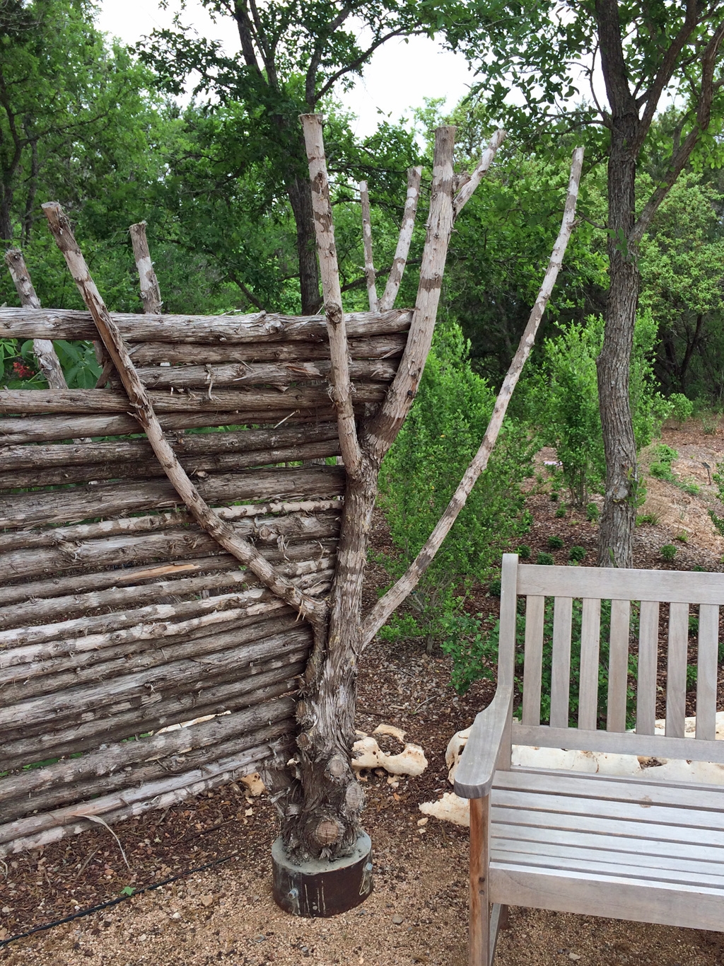 Tree Fence Post Susan Rushton