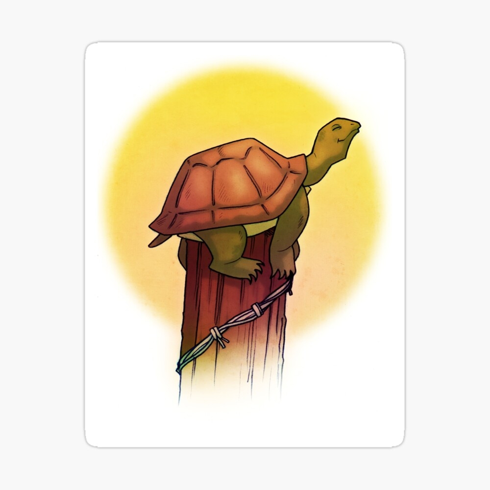 a turtle on a fence post