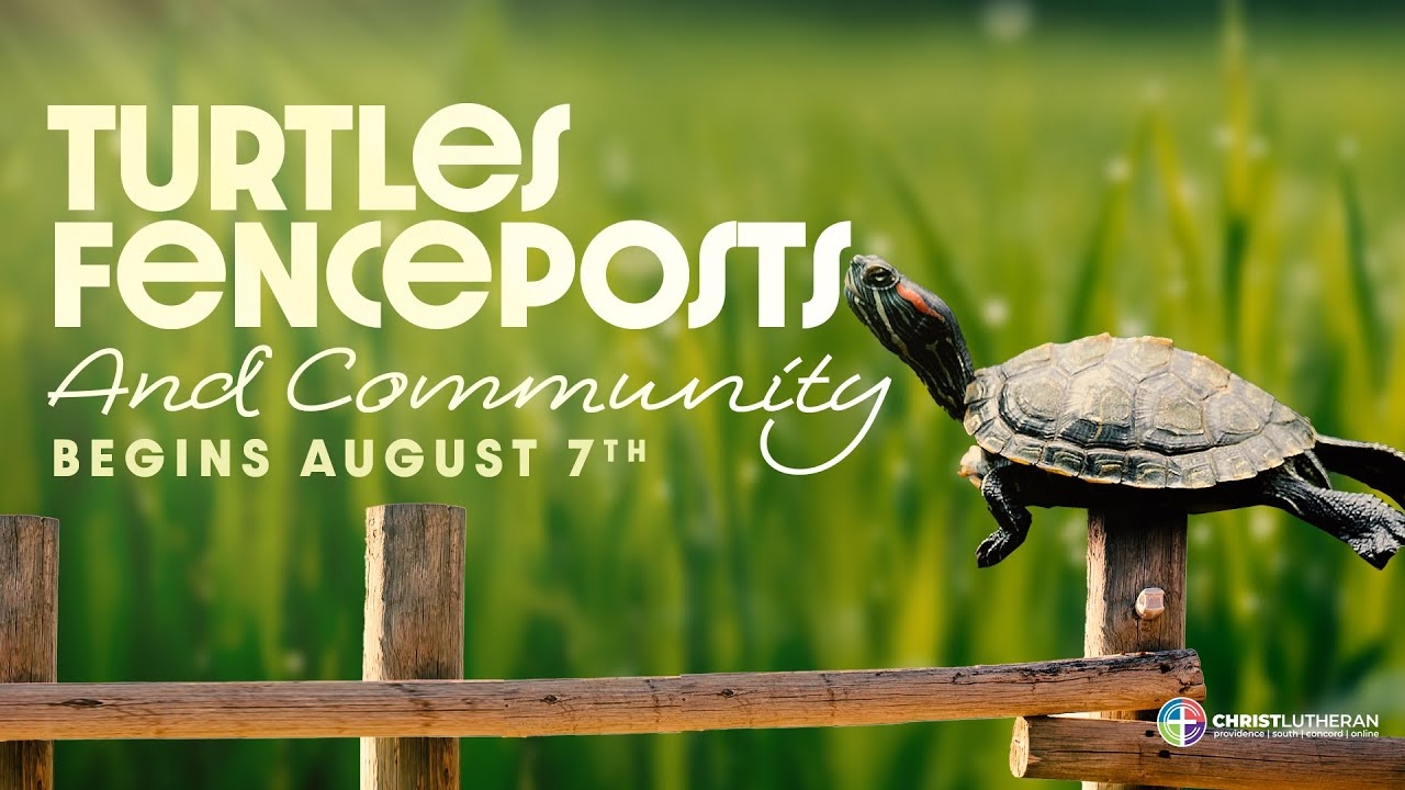 Turtles Fenceposts Community Sermon Series Begins August 7 2022 YouTube