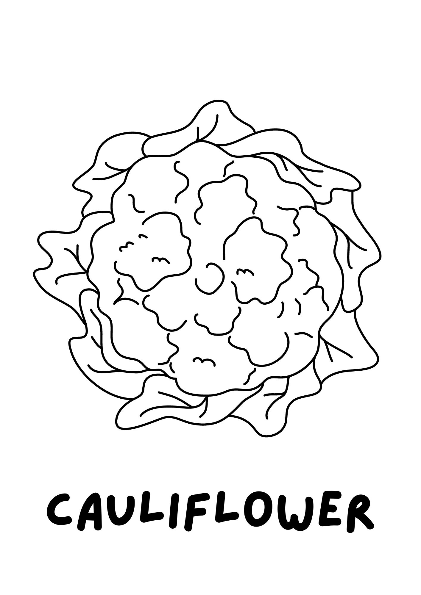 coflower coloring pages
