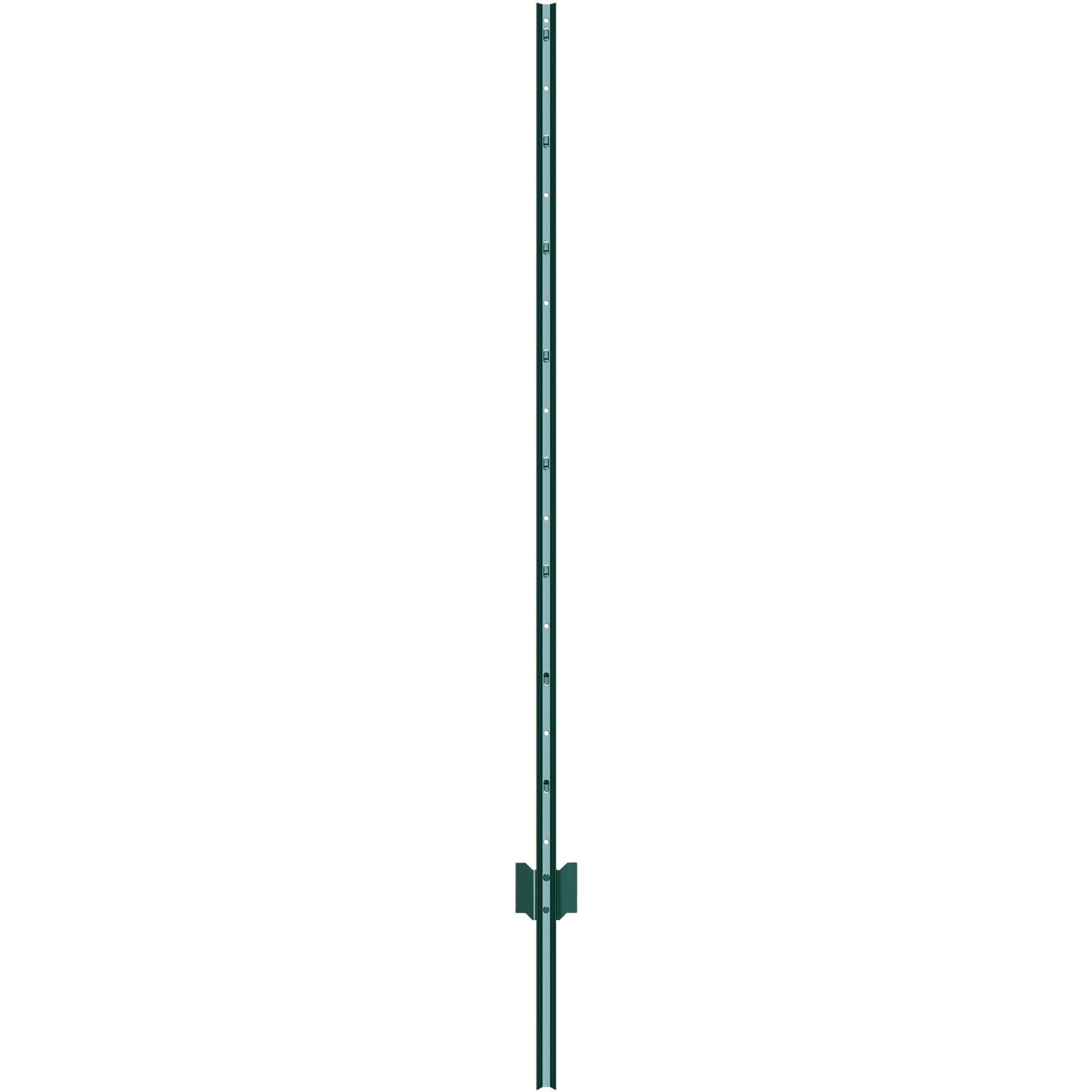 fence posts 10 ft