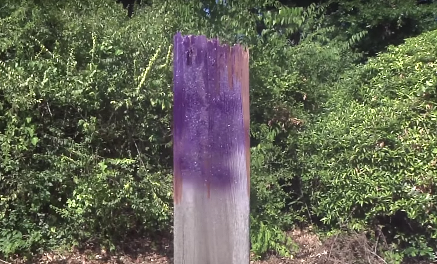 What Do Purple Fence Posts Mean In Illinois 