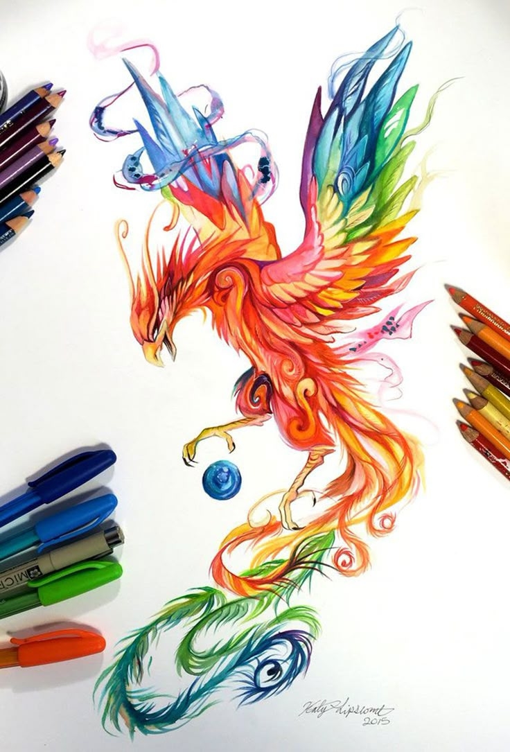 Wild Animal Spirits In Pencil And Marker Illustrations By Katy Lipscomb Interview 