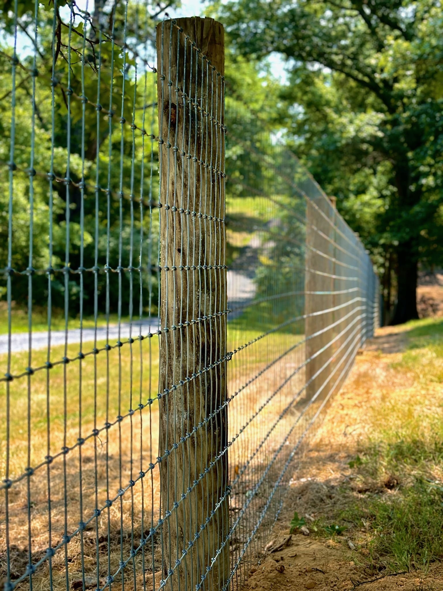 chain link fence posts