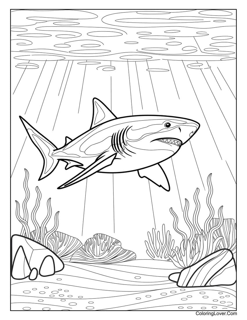 shark color page