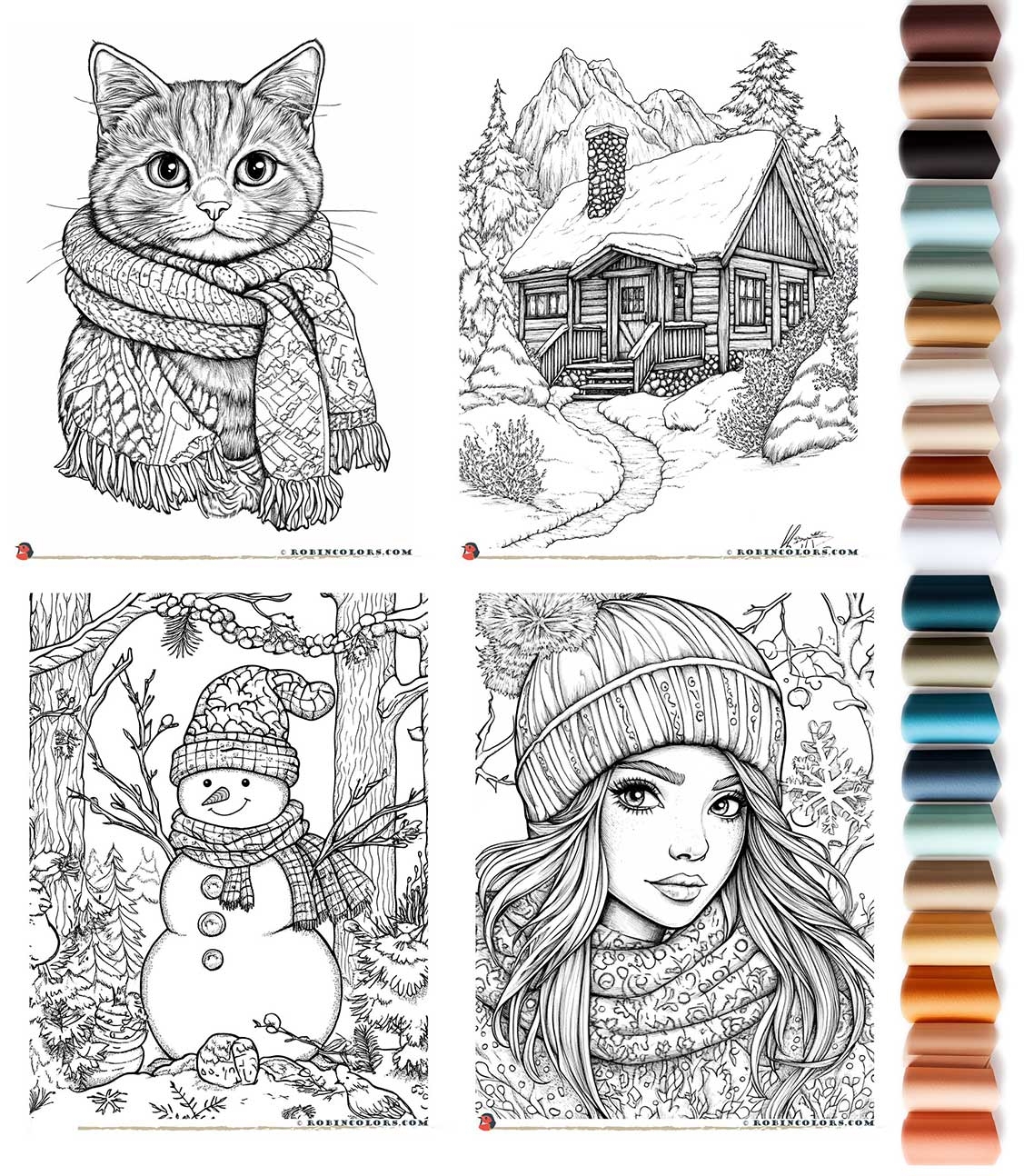 Coloring Creating Robin Colors
