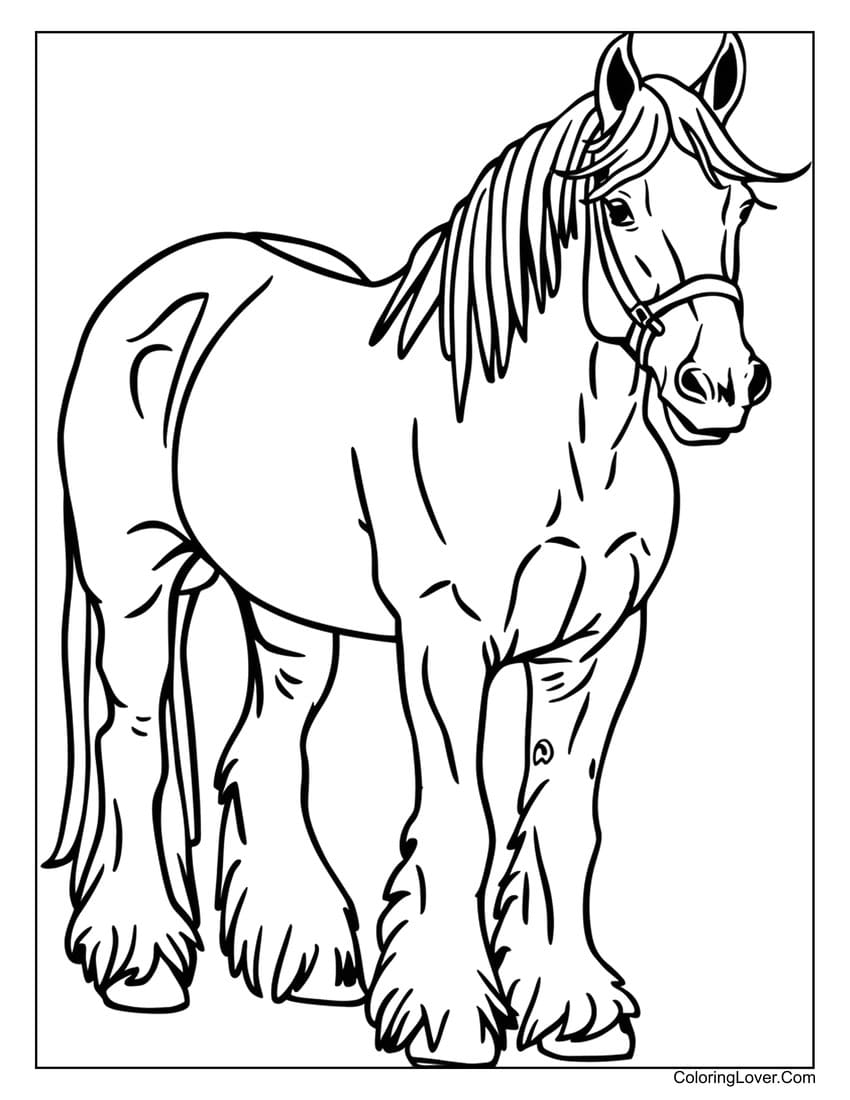 horse coloring sheets printable horse coloring sheets printable