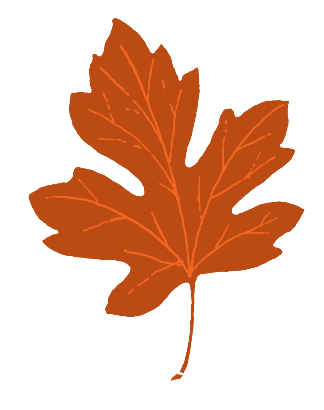 15 Maple Leaf Clipart The Graphics Fairy