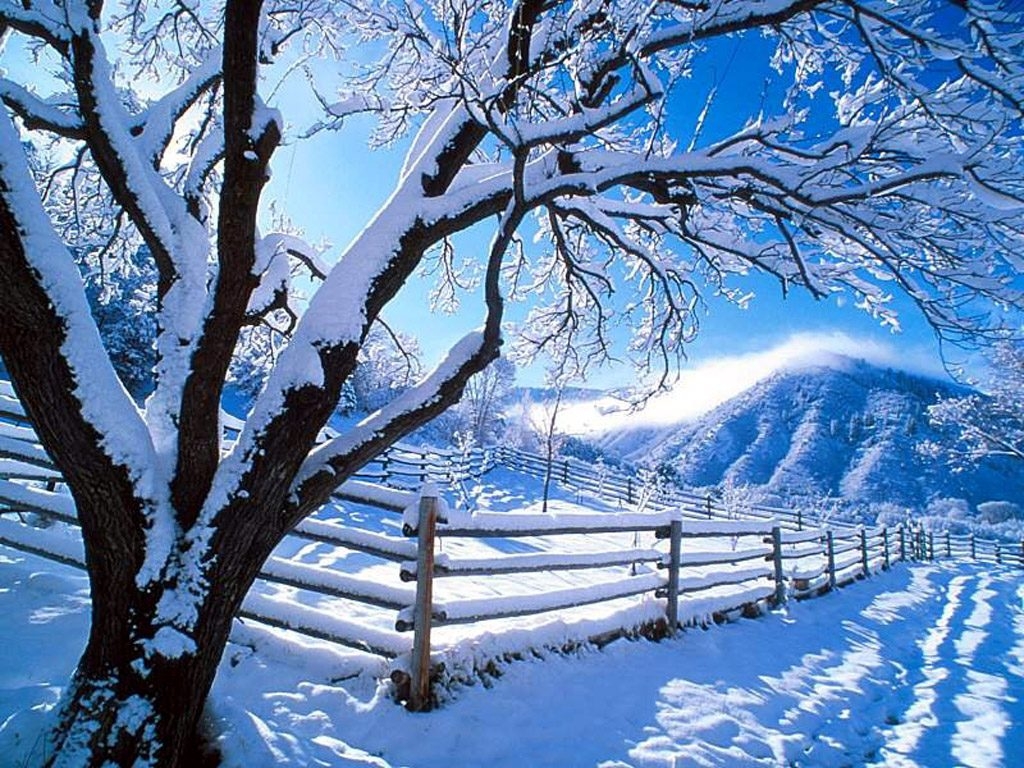  150 Free Winter Desktop Wallpapers WallpaperSafari