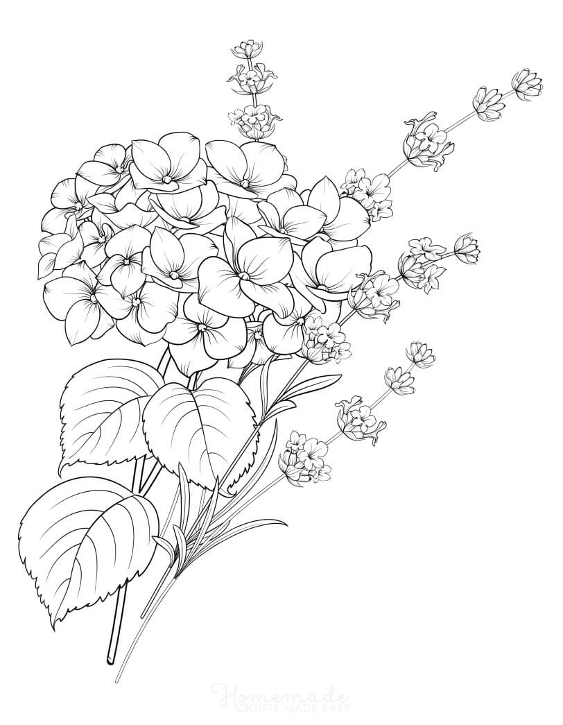 coloring pages realistic flowers