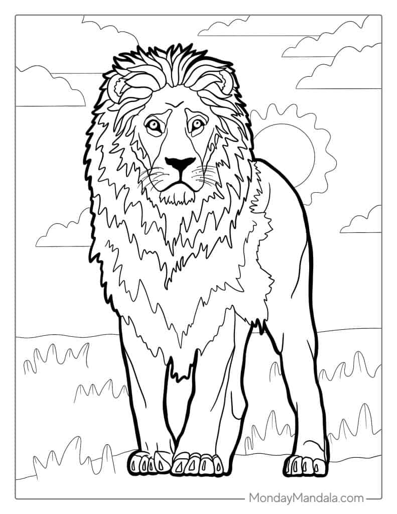 lion pictures to color
