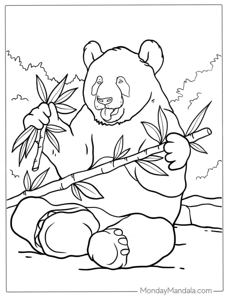 panda bear coloring sheets