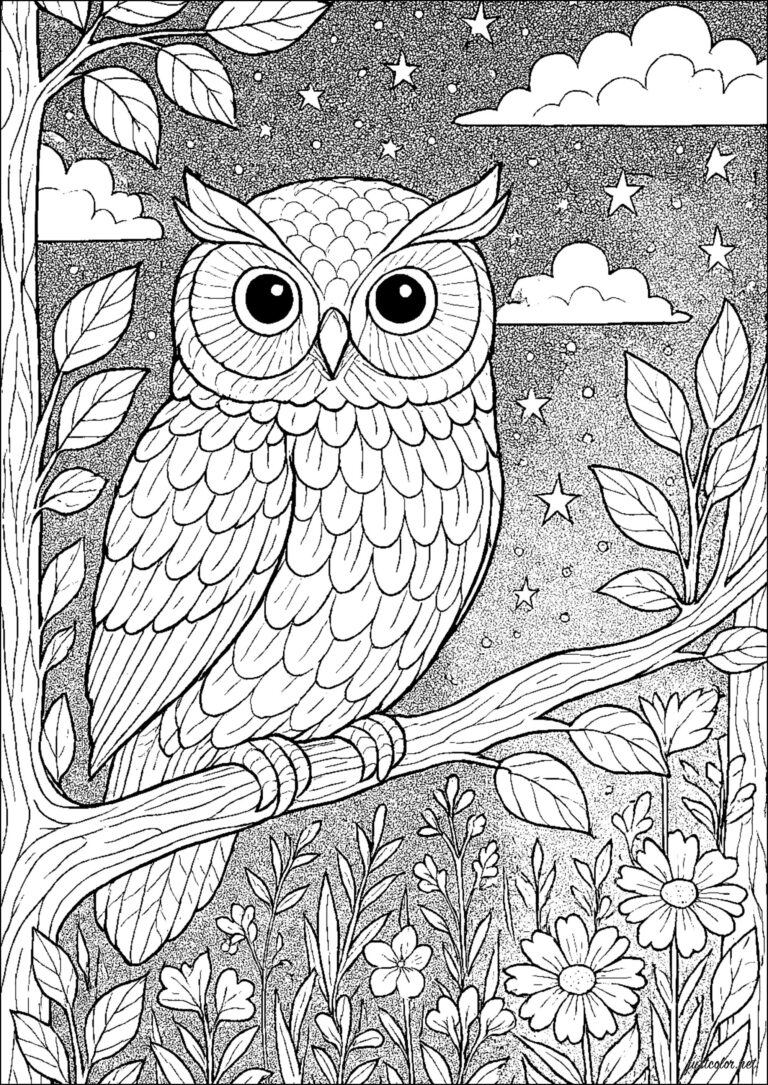A Vigilant Owl Under A Starry Sky Owl Coloring Pages For Adults