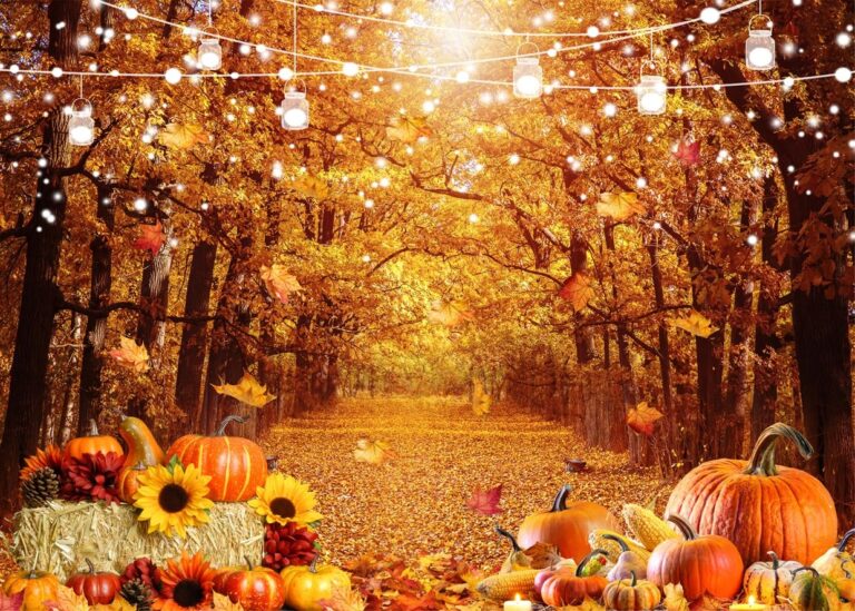 Amazon SJOLOON Fall Photo Backdrop Fallen Leaves Autumn Backdrop Pumpkin Thanksgiving Background For Party Decoration Photoshoot 12591 7x5FT Electronics