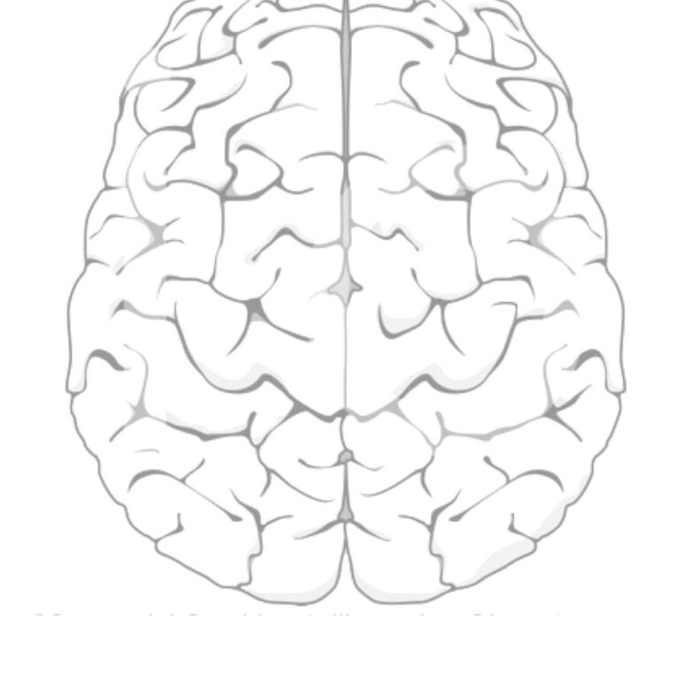 Brain Coloring Page activity YouCubed