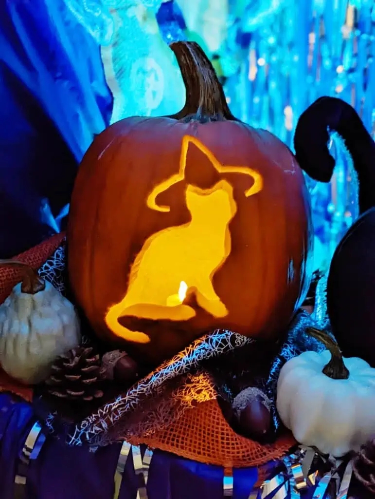 Cat Inspired Pumpkin Carving Patterns ACANA Cat Inspired Pumpkin Carving Patterns ACANA
