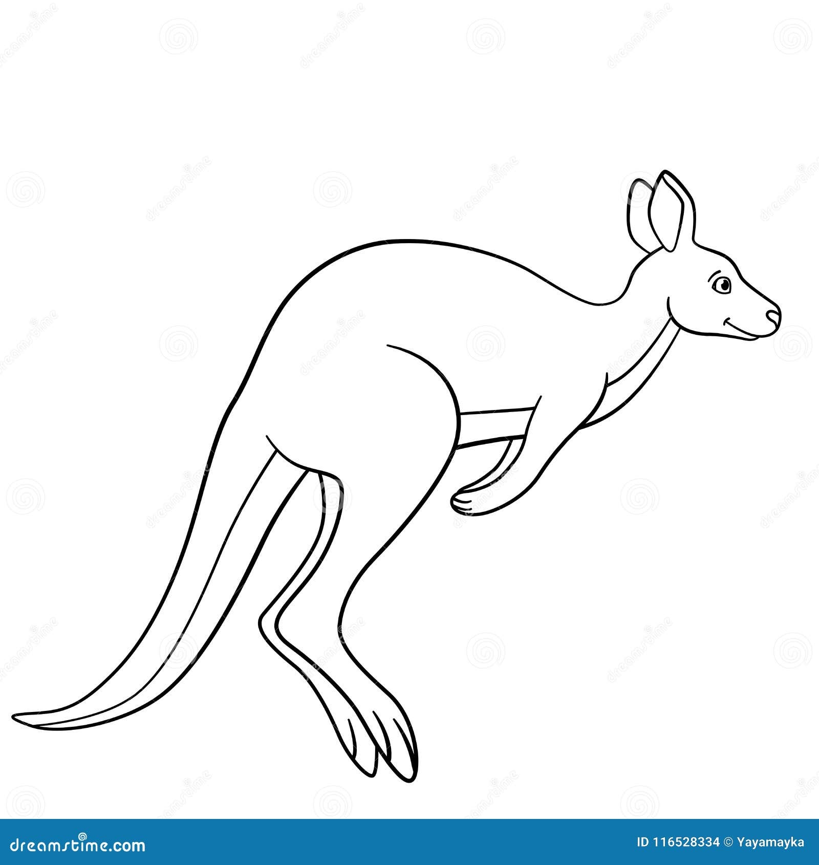 kangaroo coloring pages kangaroo coloring pages