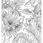 Colouring For Adults Tropical Jungle Printables Free Coloring Pages Learning Worksheets HP Official Site