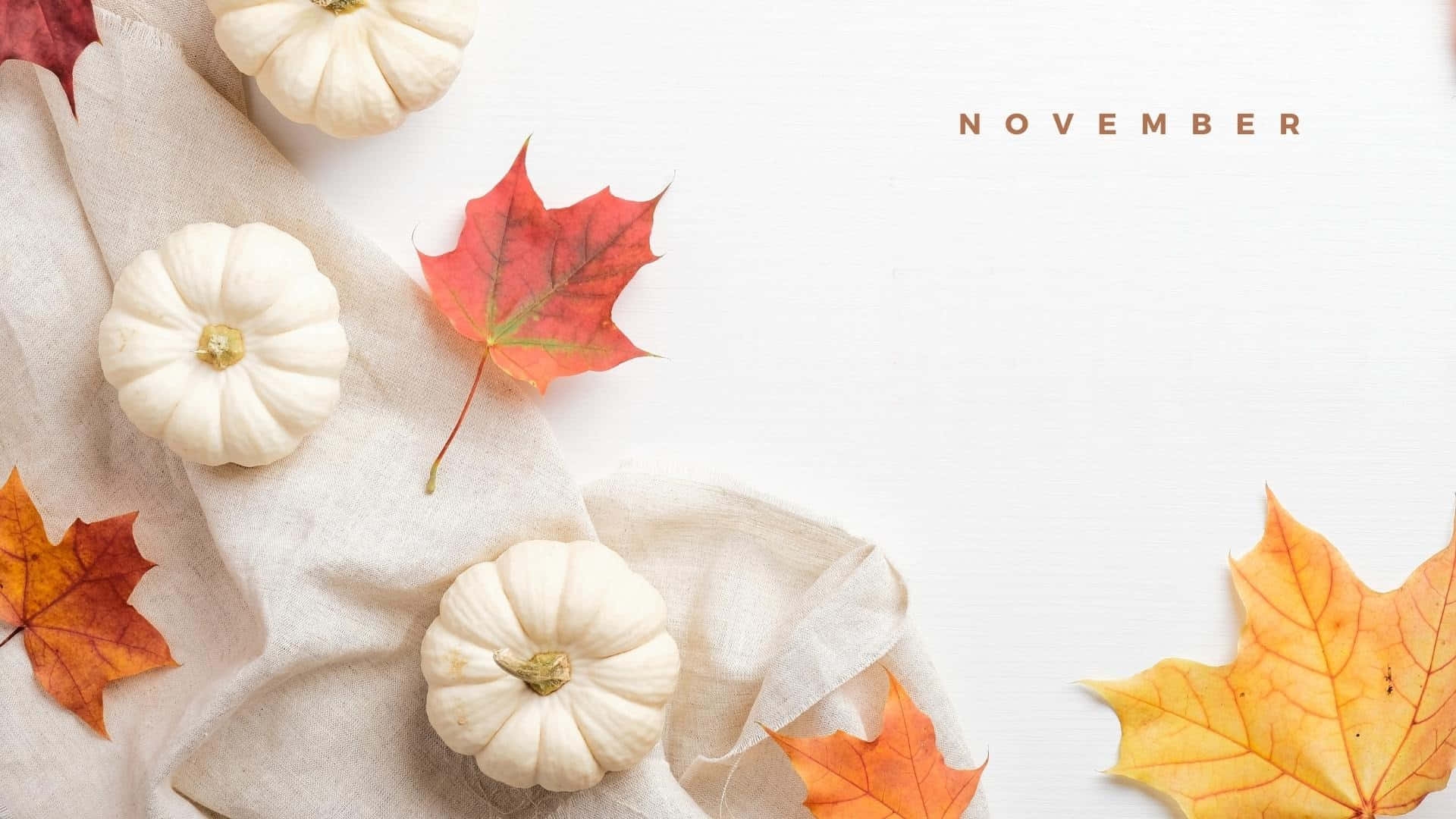 Download November Desktop White Pumpkin Wallpaper Wallpapers