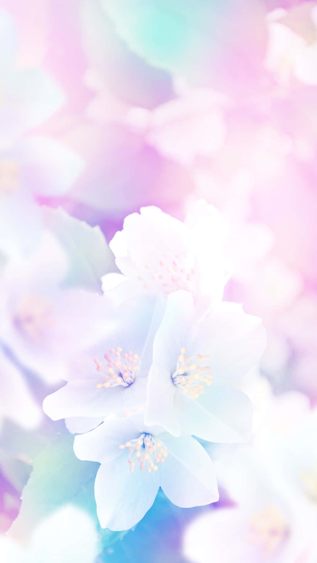 cute pastel spring wallpaper