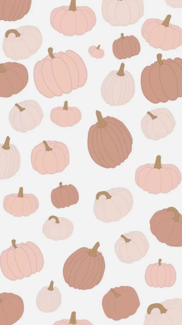 Fall Background Pumpkins Pink Brown Pastel Cute Wallpaper Fall Background Pumpkins Pink Brown Pastel Cute Wallpaper