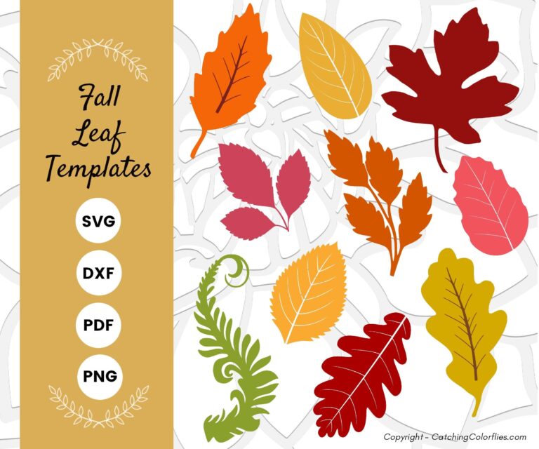 Fall Leaves SVG Bundle Paper Flower Leaf Templates Autumn Leaf Thanksgiving SVG Set SVG Dxf Eps Png Etsy Israel